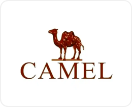OUR PARTNERS