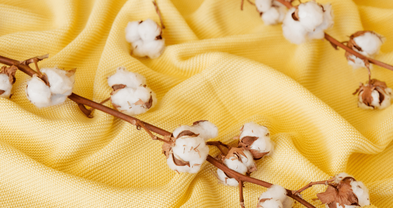 Organic Cotton, Recycled Cotton & BCI Cotton for socks